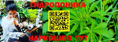 прущая мука Кимры
