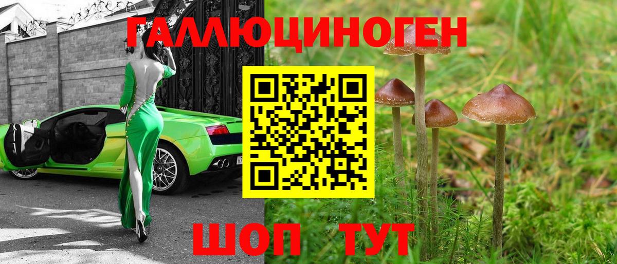 Галлюциногенные грибы мицелий  Вход с VPN  Азов  Галлюциногенные грибы Psilocybe 